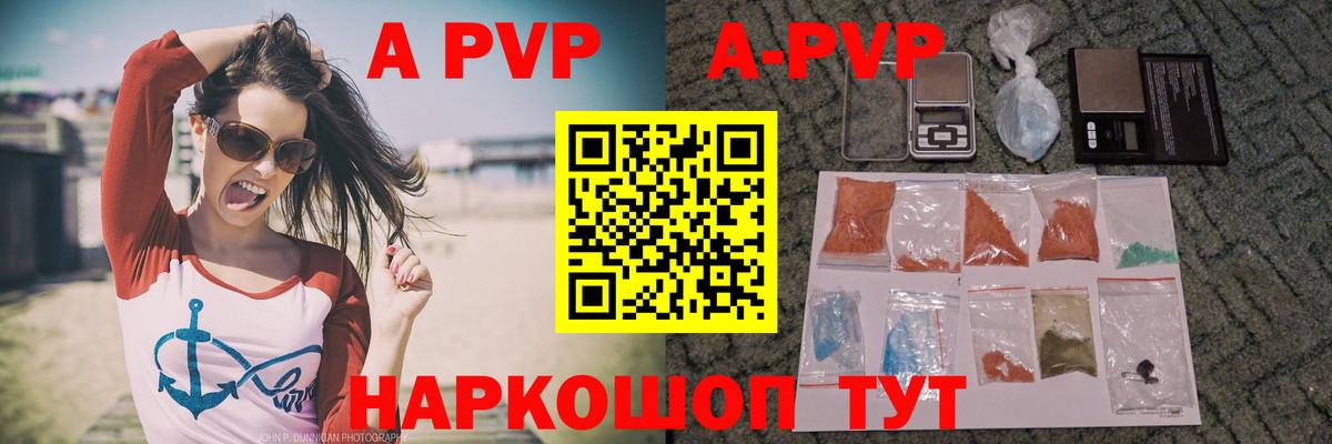 A-PVP СК Горно-Алтайск
