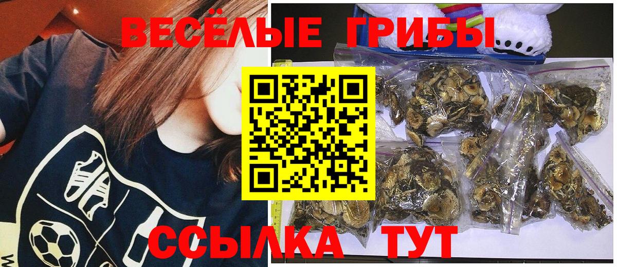 Горно-Алтайск  Псилоцибиновые грибы мухоморы  Вход с VPN 