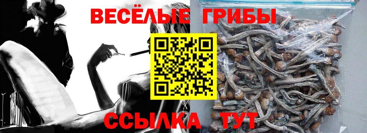 Псилоцибиновые грибы Cubensis Горно-Алтайск